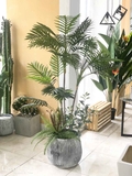 CHẬU CÂY DỪA TRANG TRÍ TIỂU CẢNH NHÀ ĐẸP LANDECOR (140cm) - LC2956-1 mix
