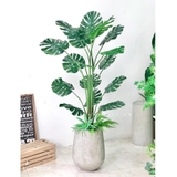 Chậu cây Monstera trang trí tiểu cảnh Landecor (170cm) - LC3058-2 mix