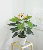 Cây thiên điểu phong cách nhiệt đới Lan Decor 75cm - LC2247