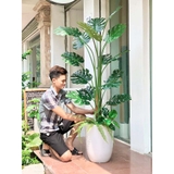 Chậu cây Monstera trang trí tiểu cảnh Landecor (170cm) - LC3058-3 mix