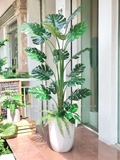 Chậu cây Monstera trang trí tiểu cảnh Landecor (170cm) - LC3058-3 mix