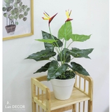 Cây thiên điểu để bàn phong cách nhiệt đới Lan Decor 55cm - LC2248