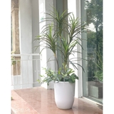 Cây Giả Decor - Cây Phất Dụ Tiểu Cảnh Trang Trí (150cm) - LC2902-3 MIX
