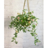 Giỏ hoa Dã Quỳ treo tường mix trang trí LanDecor (50cm) - CC554
