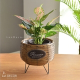 Chậu mây trang trí LanDecor - GC123