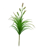 Sen đá  decor trang trí nhà cửa , chậu cây  -   Sen đá 29