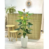 Cây hoa rum cây cảnh trang trí Lan Decor (125cm) - LC2646