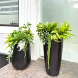 Concept Chậu Cây Tiểu Cảnh Decor Sảnh Văn Phòng, Trang Trí Cửa Hiệu, Quán Cafe