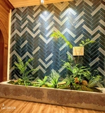 Tiểu Cảnh Dương Xỉ- Thi Công Tiểu Cảnh Dương Xỉ Culi Giả Decor Căn Hộ Khách Thanh Trì(280x35x175cm)- RC102