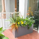 Bồn Hoa Tiểu Cảnh - Bồn Hoa Decor Văn Phòng, Cửa Hiệu Tự Nhiên (115X50X105)- BC170