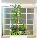 Bồn Rêu Thiết Kế- Bồn Rêu Tiểu Cảnh Thạch Nam Thiết Kế Cảnh Quan (100x60x230cm)- RC090