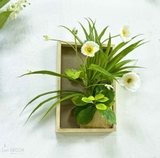 Tranh Hoa Treo Tường Decor Cửa Hiệu- KTH032 (20x30cm)