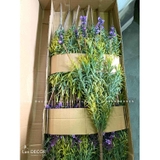 Cành hoa oải hương giả decor nhà đẹp (7 nhánh)- HC013