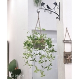 Giỏ kim ngân treo trang trí tiêu cảnh đẹp mắt Lan Decor - CC316