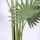 CÂY CỌ CẢNH TRANG TRÍ NỘI THẤT LAN DECOR 140CM - LC3032