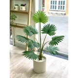 CÂY CỌ CẢNH TRANG TRÍ KHÔNG GIAN XANH LAN DECOR 120CM - LC3031