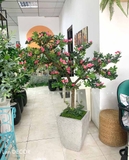 Cây hoa Đỗ Quyên cảnh trang trí LanDecor (180cm) - LC2450 mix