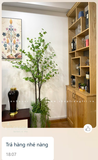 CÂY THẠCH NAM TRANG TRÍ ĐẸP, HIỆN ĐẠI LAN DECOR (180cm) - CC246-1