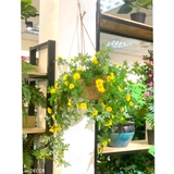 Giỏ hoa Dã Quỳ treo tường trang trí LanDecor (50cm) - CC413-vàng/trắng