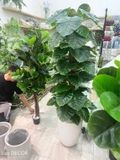 CÂY TRẦU BÀ CỘT TRANG TRÍ NỘI THẤT ĐẸP (145cm) - LC1992-1