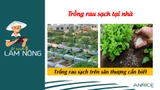 TRỒNG RAU SẠCH TẠI ĐÔ THỊ, TRÊN SÂN THƯỢNG CẦN BIẾT
