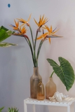 Bình hoa thuỷ tinh dáng chai rượu