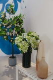 Bình hoa thuỷ tinh dáng chai rượu