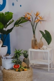 Bình hoa thuỷ tinh dáng chai rượu