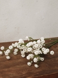 Cành hoa baby Gypso trắng 45cm