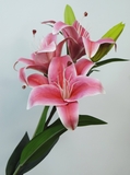 Cành hoa lily 88cm