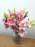 Cành hoa lily 88cm