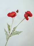 Cành hoa poppy 60cm