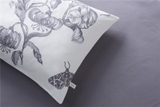 Bộ drap giường 4 món 100% cotton USA in họa tiết