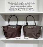 Túi L*champ Le Pliage M Tote