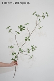 Cành lá sen Quan Âm xanh 85 / 115 cm