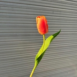 Cành hoa tulip 35cm