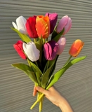 Cành hoa tulip 35cm