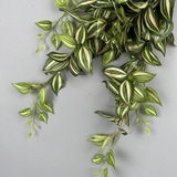 Cành lá thài lài Tradescantia 80cm