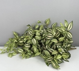 Cành lá thài lài Tradescantia 80cm