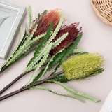 Cành hoa Banksia 70cm