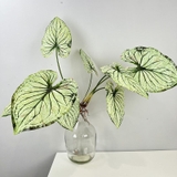 Cành lá môn trắng 88cm