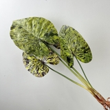 Cành lá Mojito 90cm