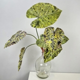 Cành lá Mojito 90cm