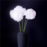 Cành hoa bồ công anh 70cm