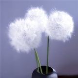 Cành hoa bồ công anh 70cm