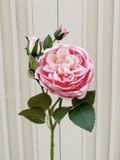 Cành hoa hồng 50cm