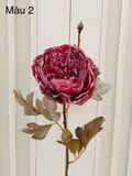 Cành hoa mẫu đơn 60cm