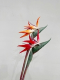 Cành hoa thiên điểu 80cm