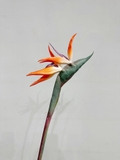 Cành hoa thiên điểu 80cm