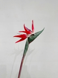 Cành hoa thiên điểu 80cm